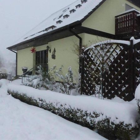 Fewo-Schmidt-Im-Erzgebirge Gelenau/Erzgeb. Kültér fotó